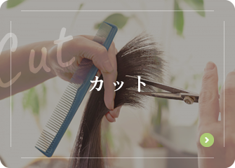 カット
